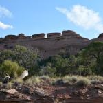 OTRA2013_2152 (July 21, 2013)